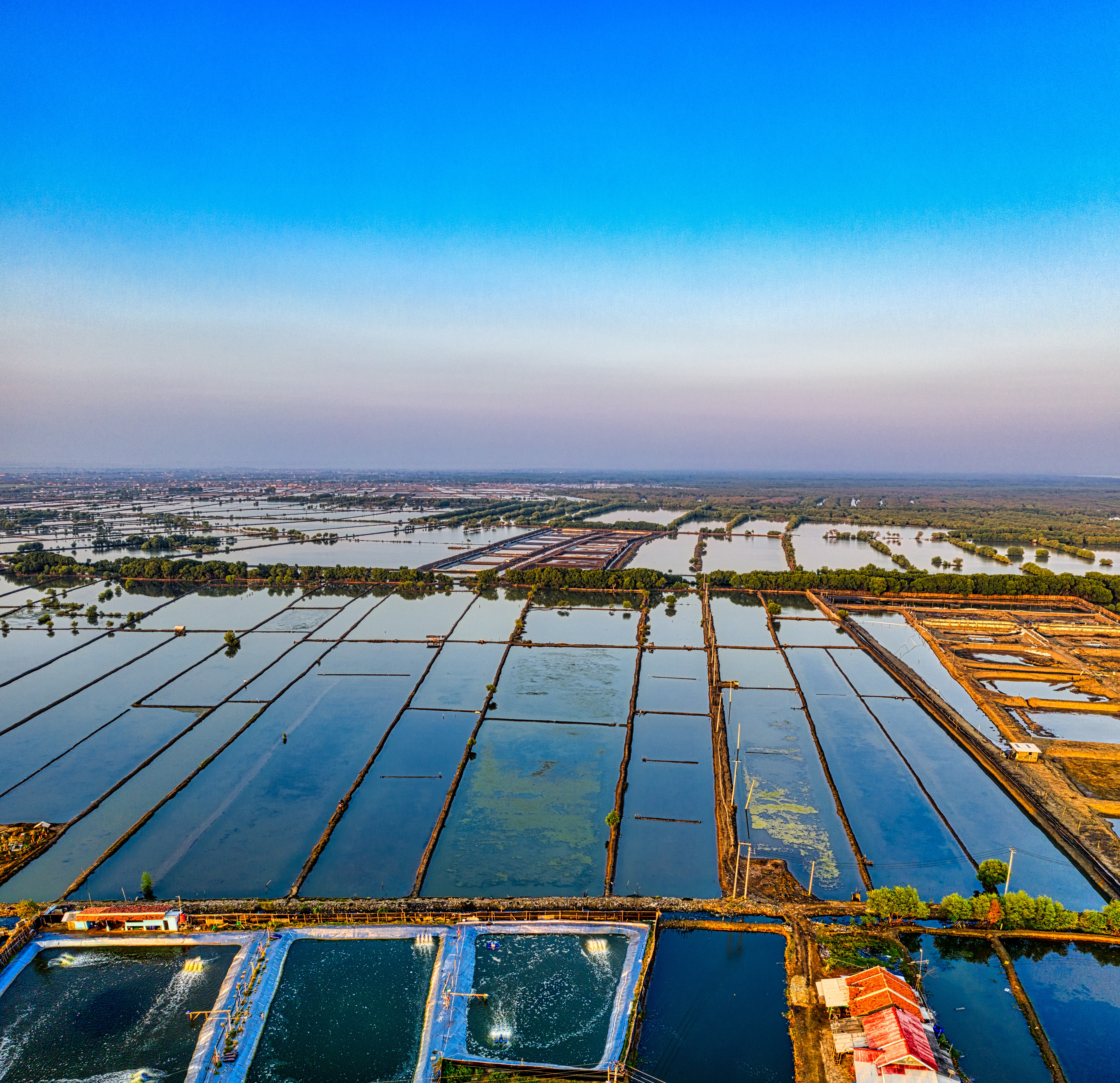 Fish farming