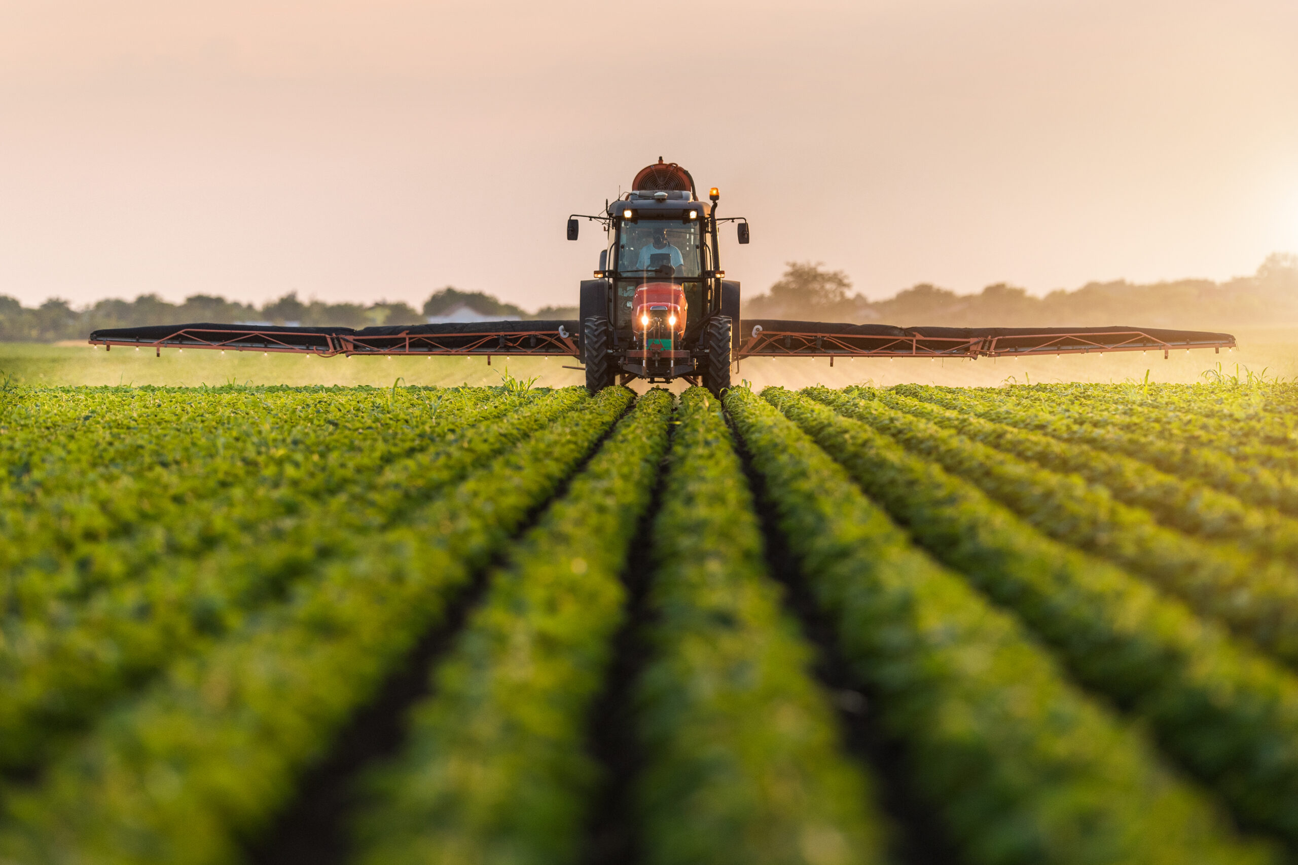 Agricultura orgánica