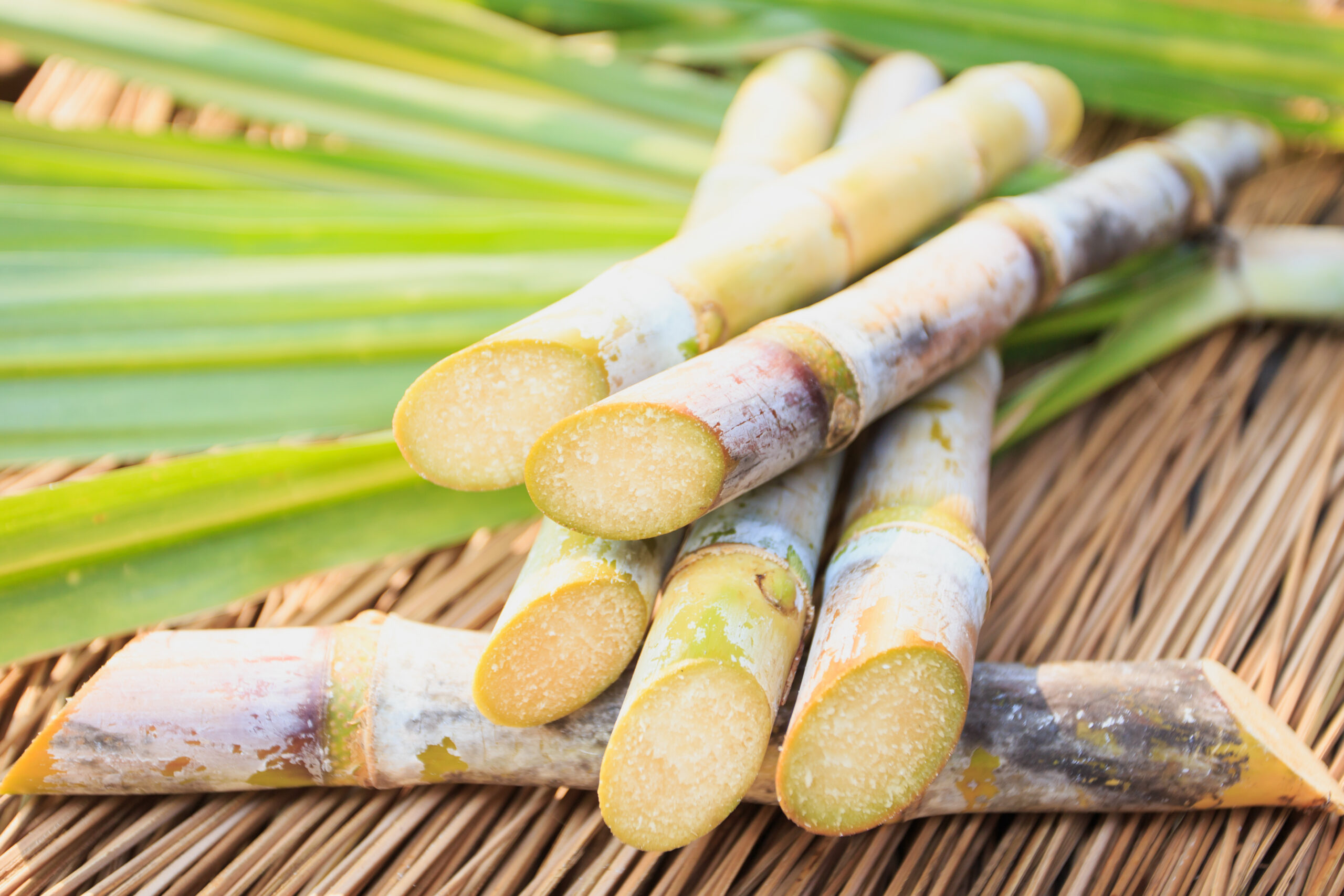 Sugarcane business