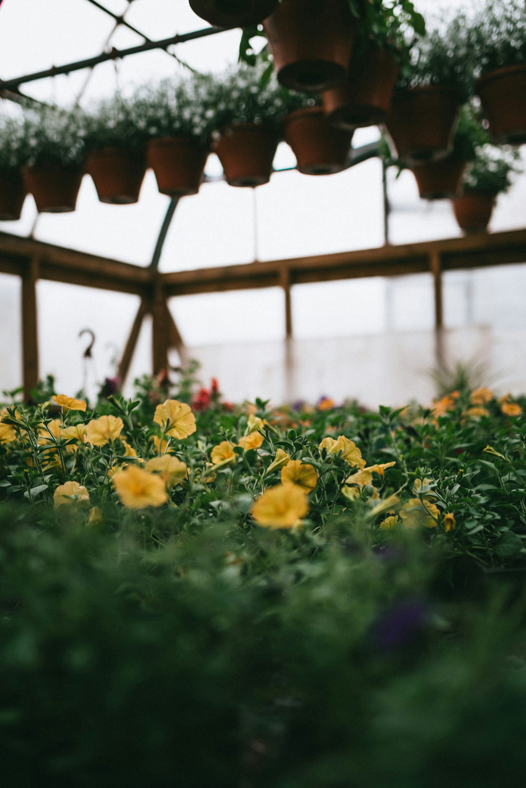 korobovaphoto-qafKAclJLsQ-unsplash